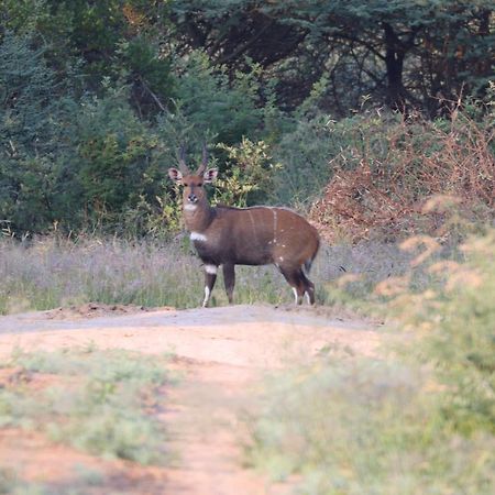 פרנסיסטאון Ngangane Lodge & Reserve מראה חיצוני תמונה